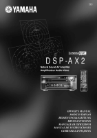 Yamaha DSPAX-2 - Owners Manual 